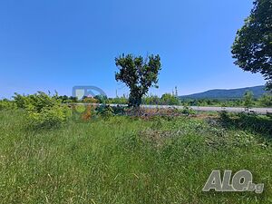 image_8