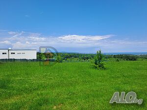 image_9