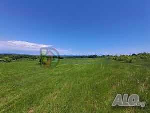 image_12