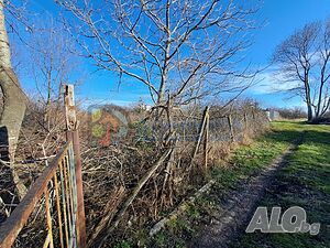 image_9