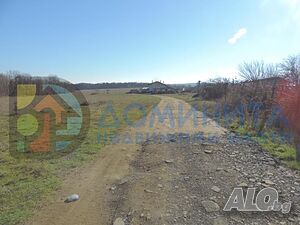 image_8