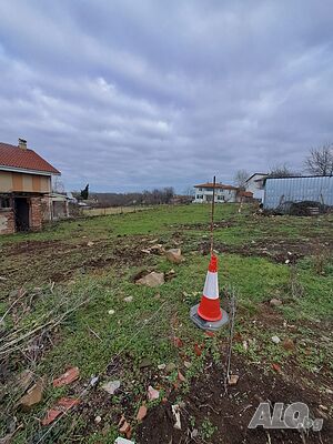 image_6