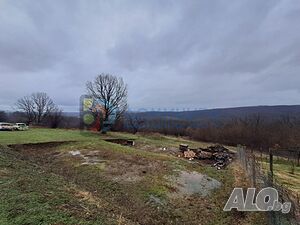 image_8