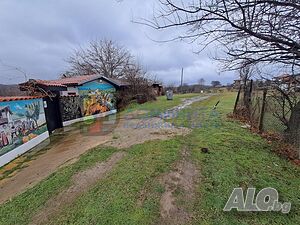 image_11