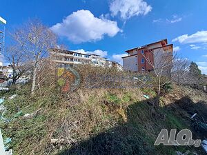 image_8