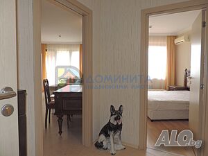 image_9
