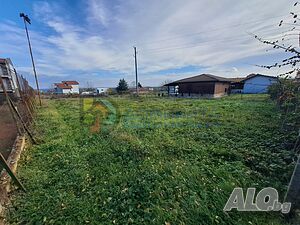 image_6