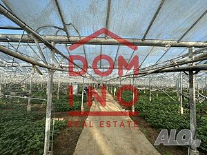 image_5