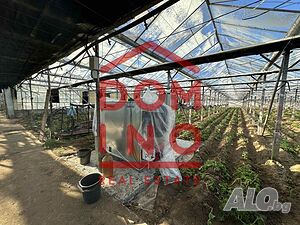 image_6