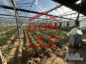 image_7