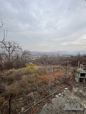 image_8