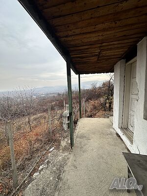 image_6