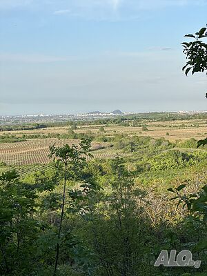 image_11