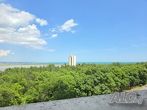 image_14
