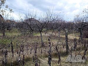 image_11
