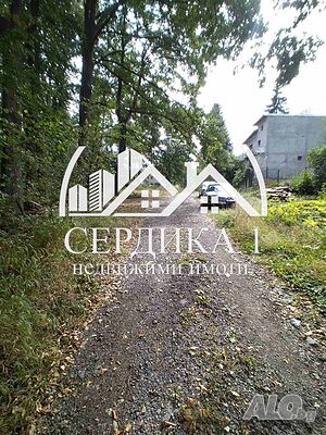 image_12