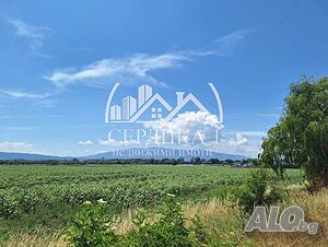 image_8