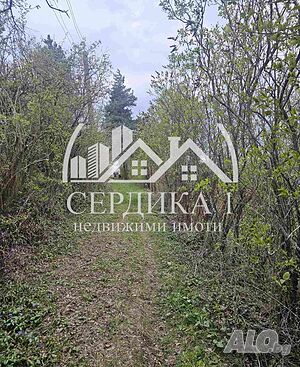 image_10