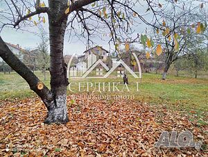 image_15