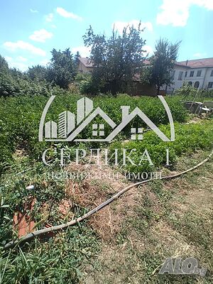 image_6