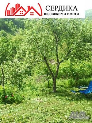 image_11