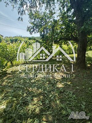 image_14