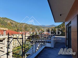 image_15