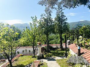 image_13