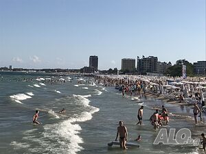 image_2
