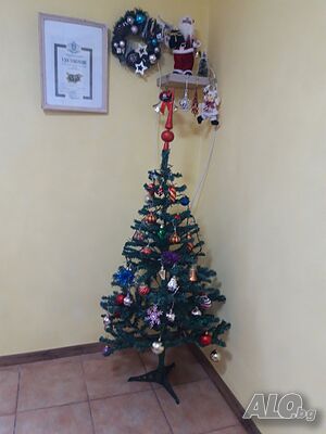 image_31