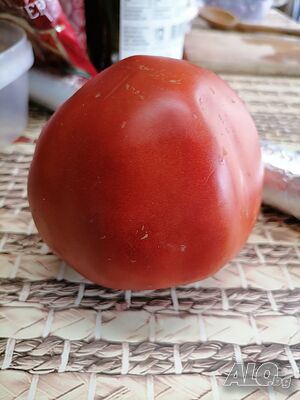 image_5