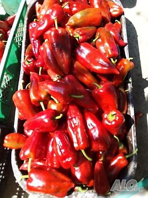 image_7