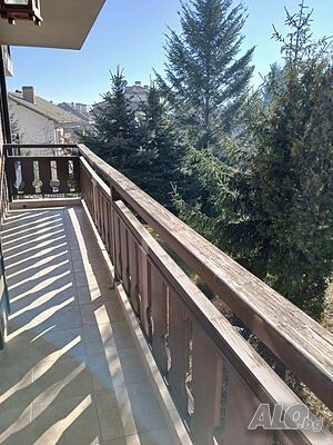 image_8