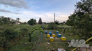 image_8