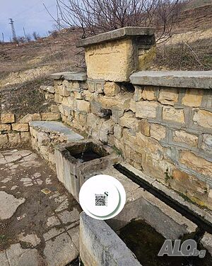 image_12