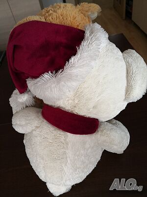 image_4
