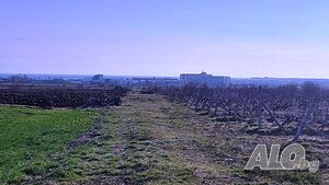 image_7