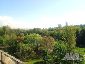 image_5