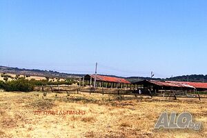 image_8