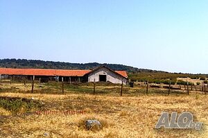 image_9
