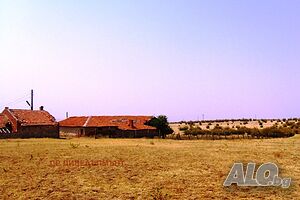 image_11