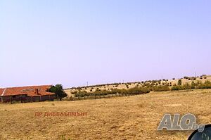 image_13