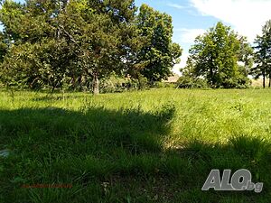 image_6