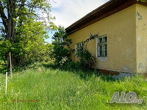 image_9