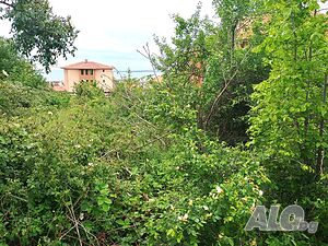 image_8