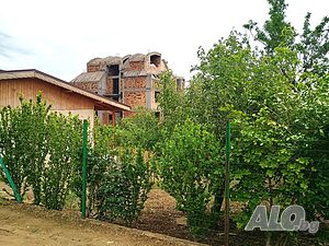 image_9