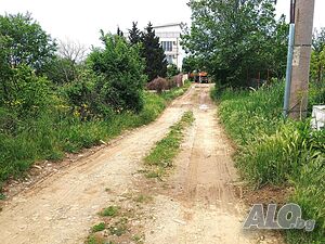 image_12