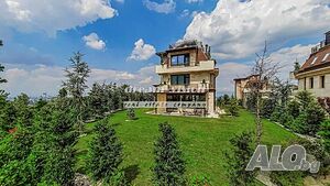 image_12