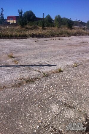 image_8