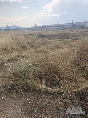 image_11